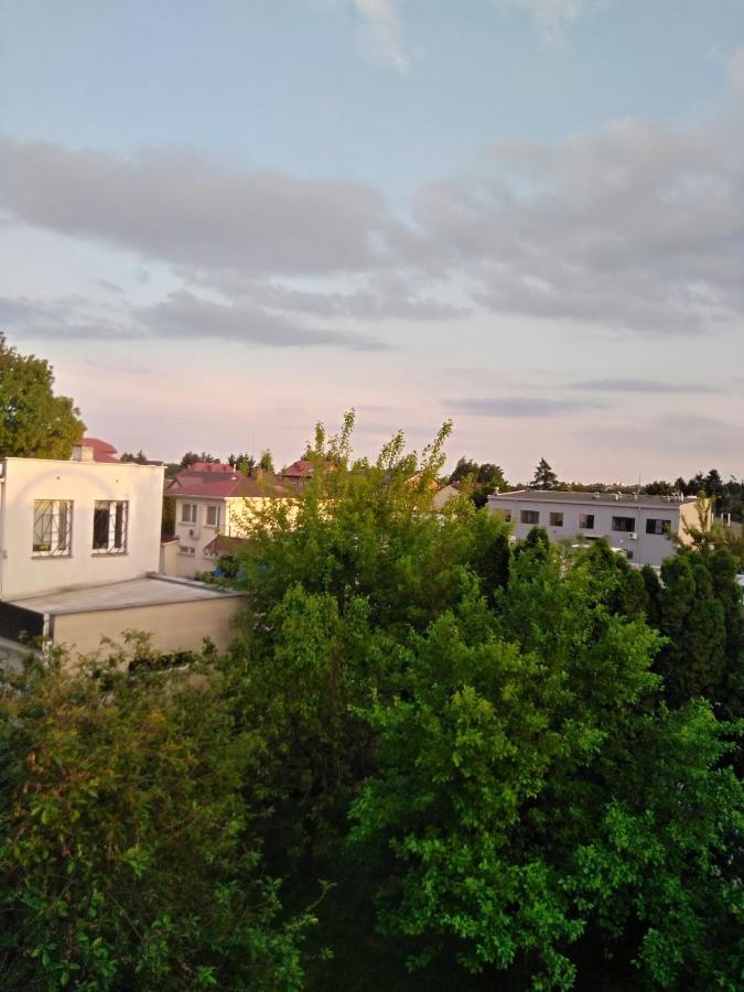 La Madriguera Bed and Breakfast Raszyn Exteriör bild